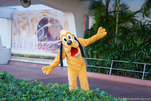 Character Meets Return to Disney World | FAQs & Updates