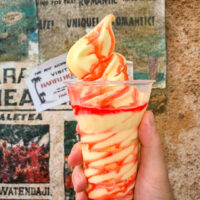 Dole Whip Animal Kingdom Simba Sunset