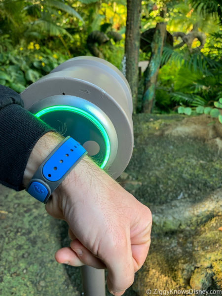 Touching MagicBand to scanner at Flight of Passage