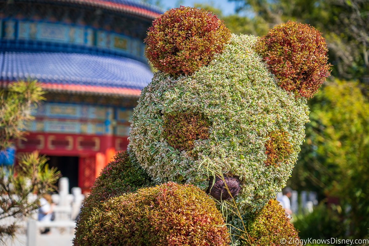 Panda Topiary 2022 EPCOT Flower and Garden Festival