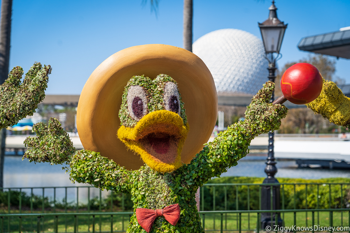 Donald Duck Topiary 2022 EPCOT Flower and Garden Festival