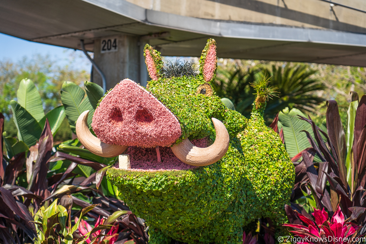 Pumbaa Topiary 2022 EPCOT Flower and Garden Festival