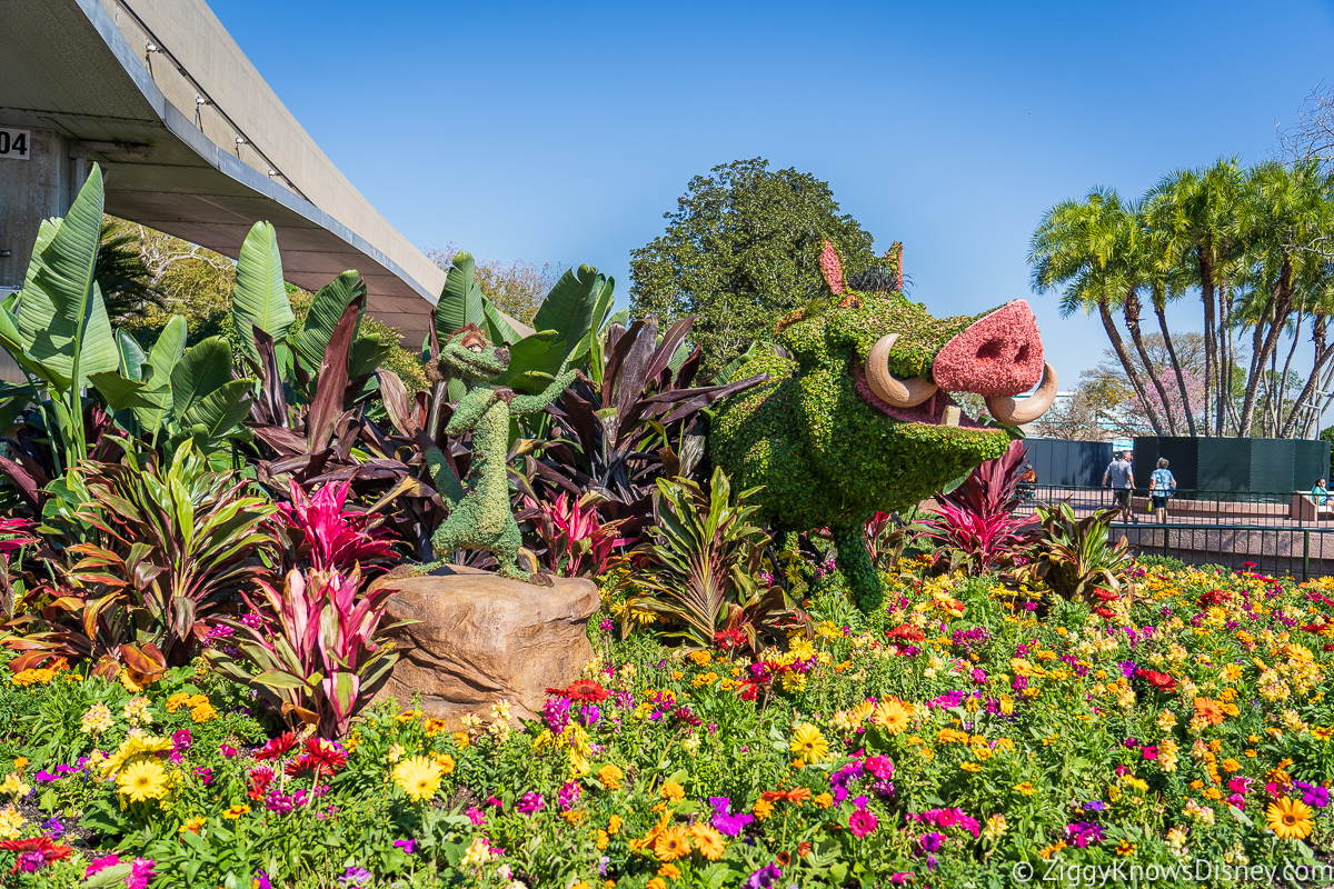 Timon and Pumbaa Topiaries 2022 EPCOT Flower and Garden Festival