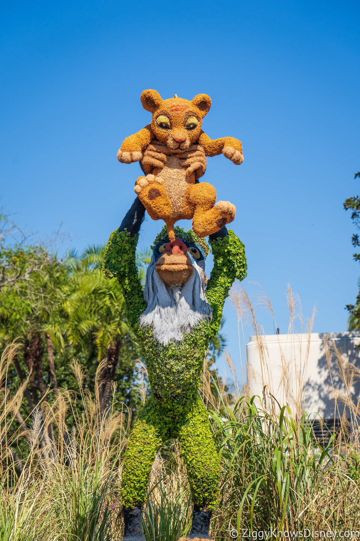 Rafiki holding baby Simba Topiaries 2022 EPCOT Flower and Garden Festival