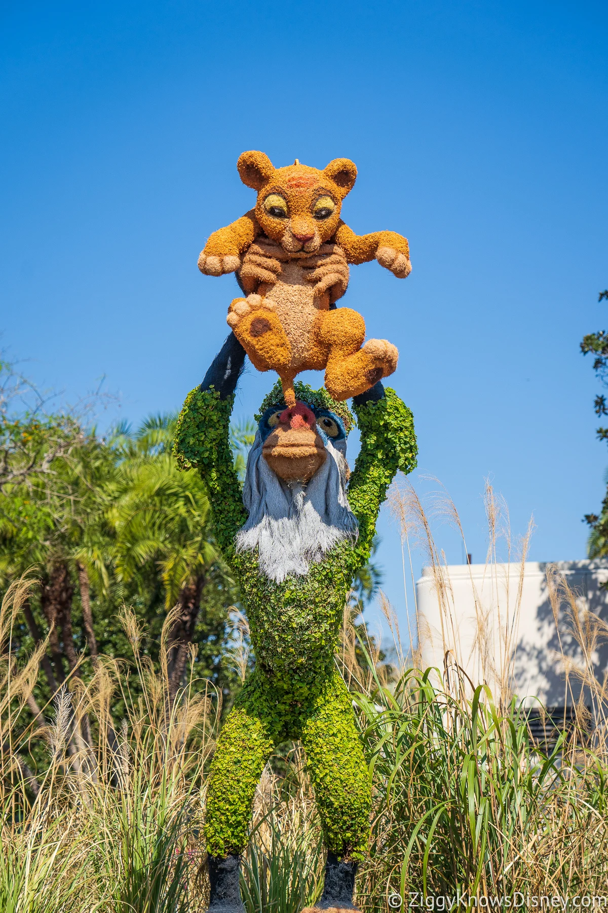Rafiki holding baby Simba Topiaries 2022 EPCOT Flower and Garden Festival