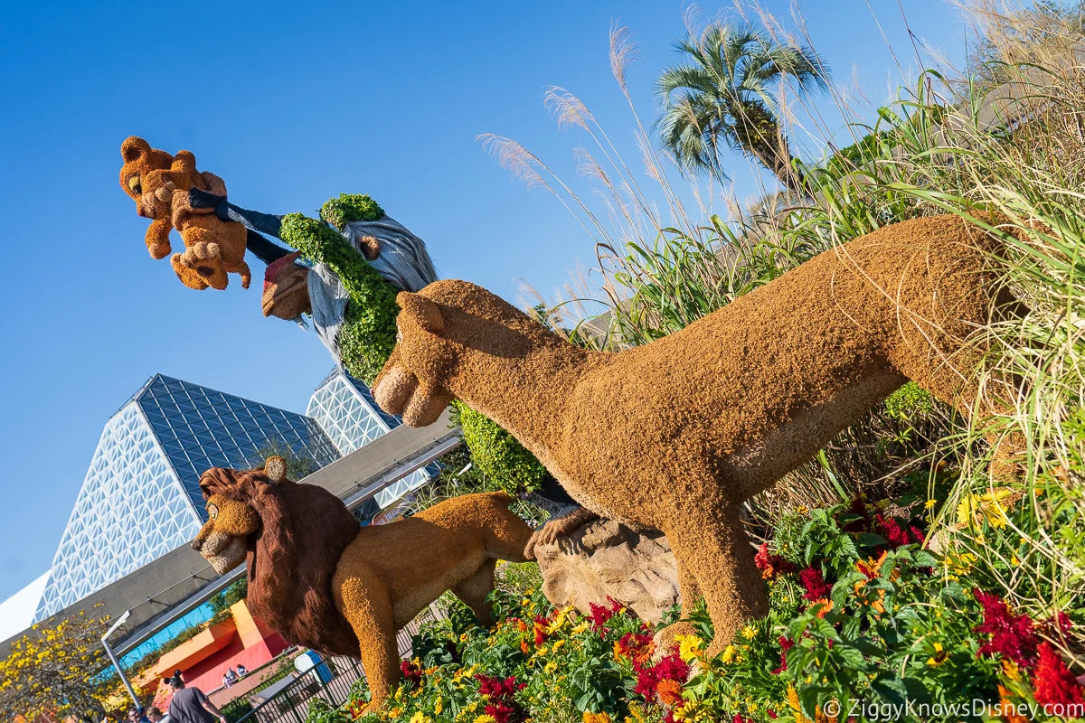Simba and Friends Topiaries 2022 EPCOT Flower and Garden Festival
