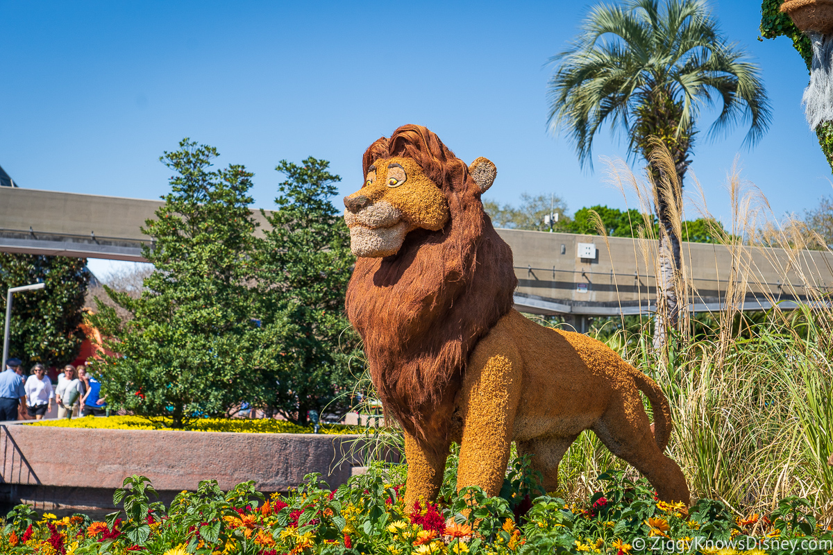 Mufasa Topiary 2022 EPCOT Flower and Garden Festival