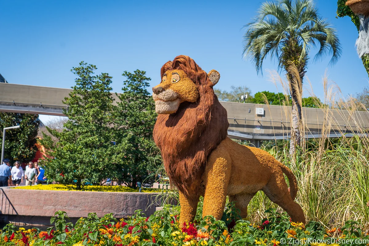Mufasa Topiary 2022 EPCOT Flower and Garden Festival