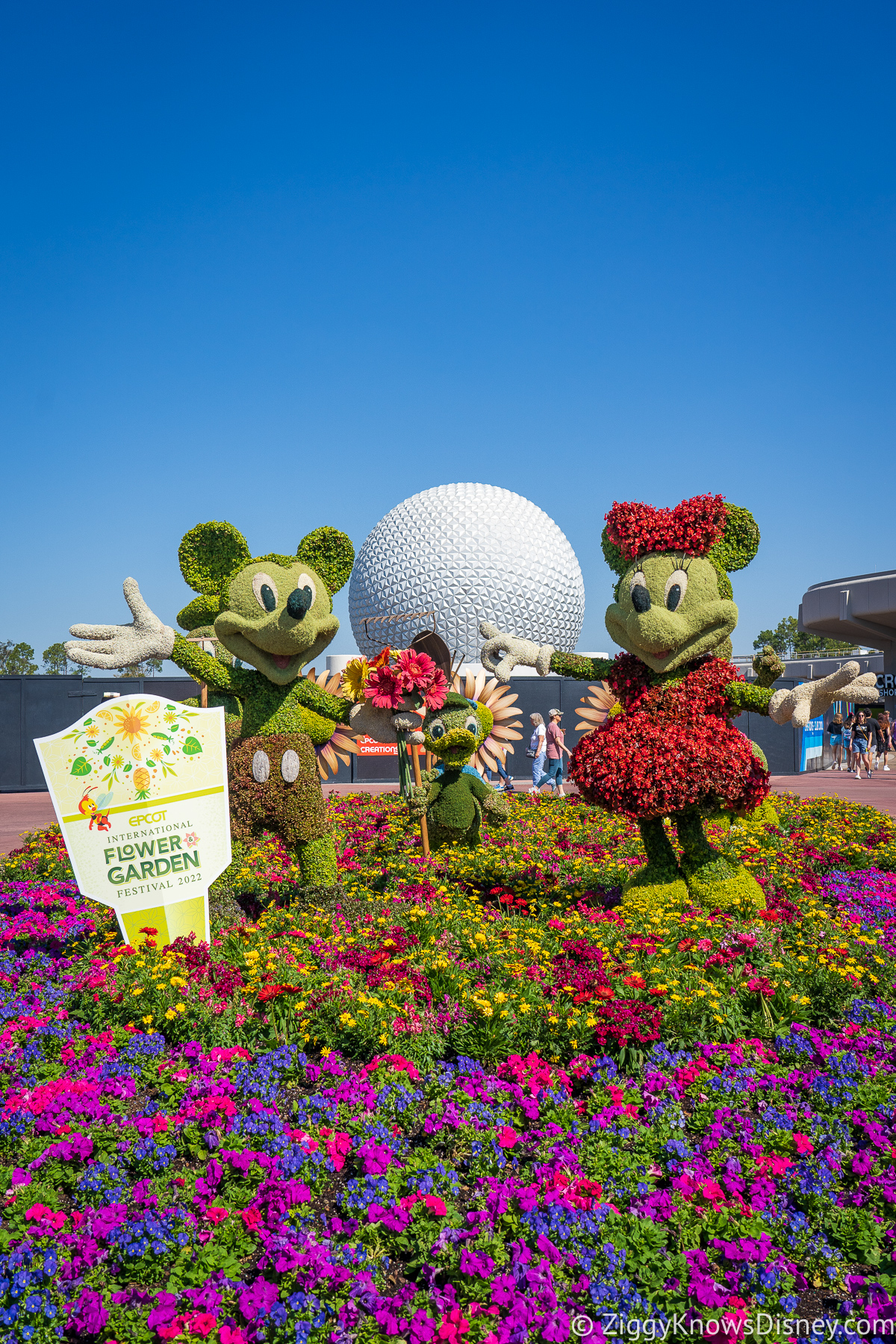 Mickey and Minnie Topiaries 2022 EPCOT Flower and Garden Festival