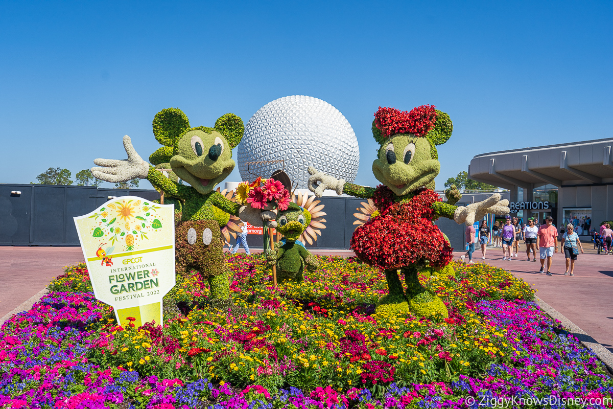 Mickey Mouse and Minnie Mouse Topiaries 2022 EPCOT Flower and Garden Festival