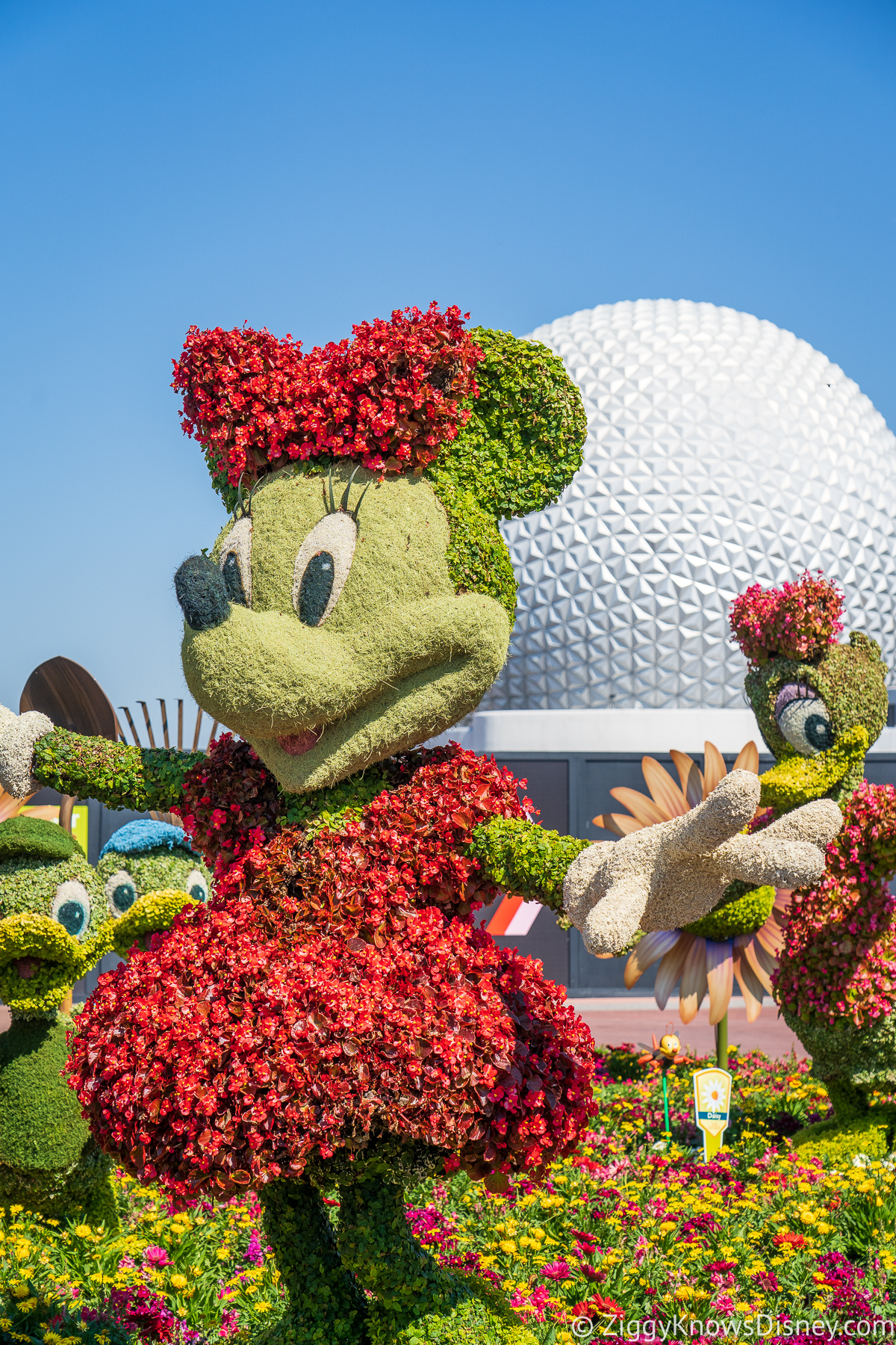 Minnie Mouse Topiary 2022 EPCOT Flower and Garden Festival