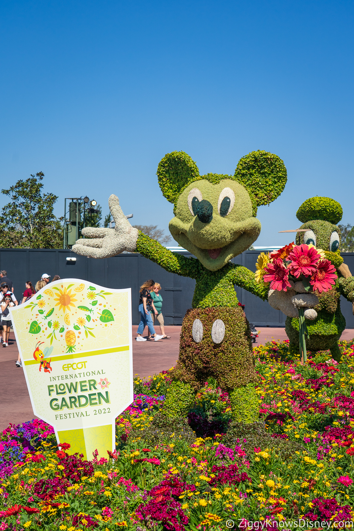 Mickey Mouse Topiary 2022 EPCOT Flower and Garden Festival