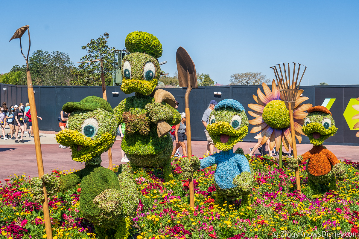 Donald Duck and Huey, Dewey, Louie Topiaries 2022 EPCOT Flower and Garden Festival