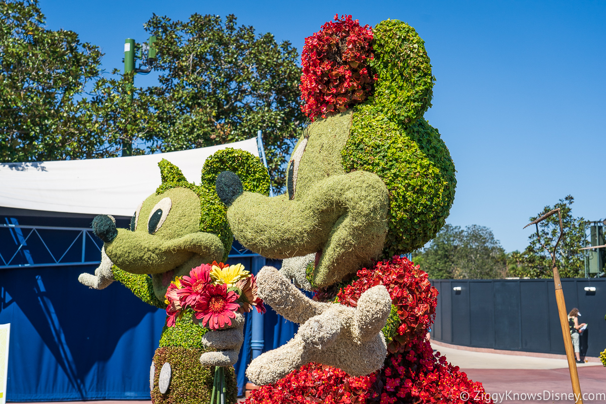 Mickey and Minnie Topiaries 2022 EPCOT Flower and Garden Festival