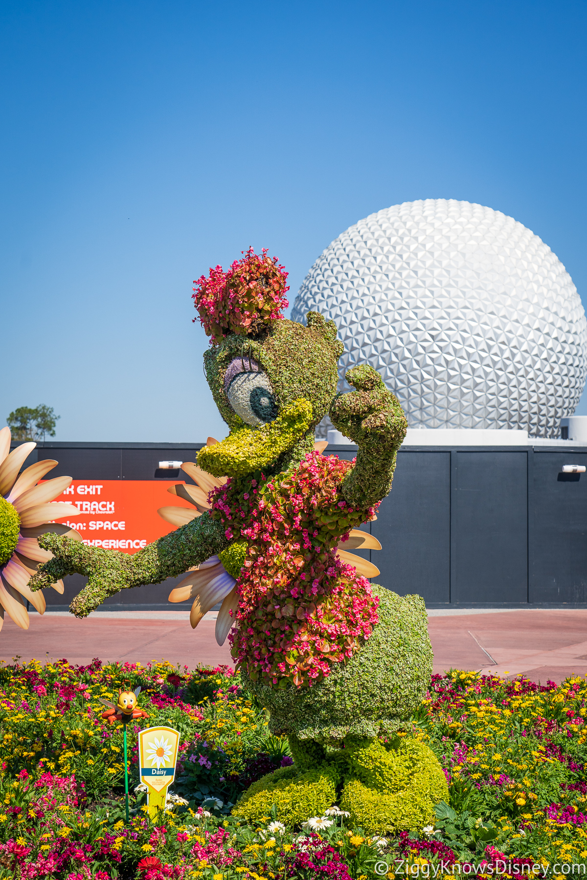 Daisy Duck Topiary 2022 EPCOT Flower and Garden Festival