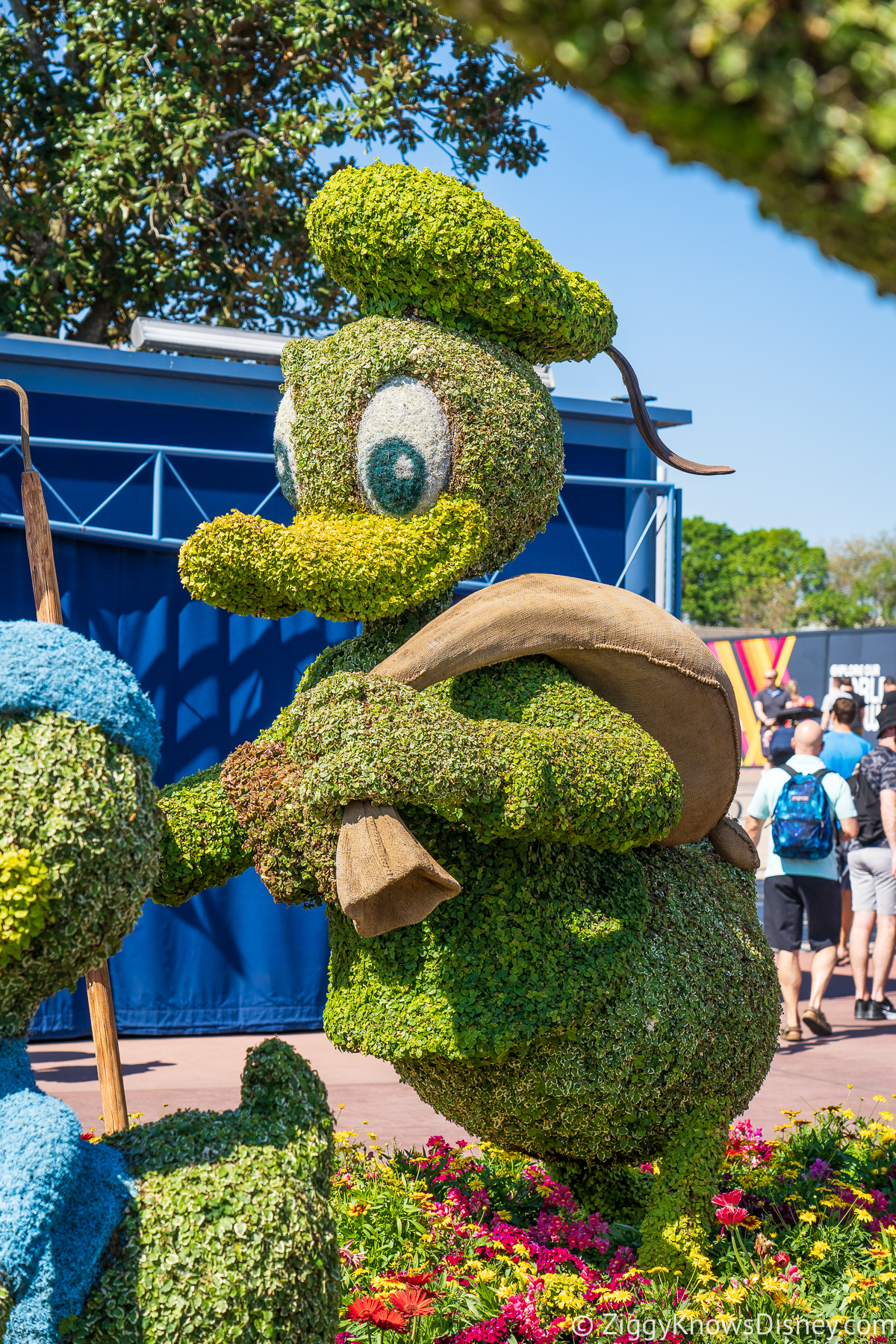 Donald Duck Topiary 2022 EPCOT Flower and Garden Festival