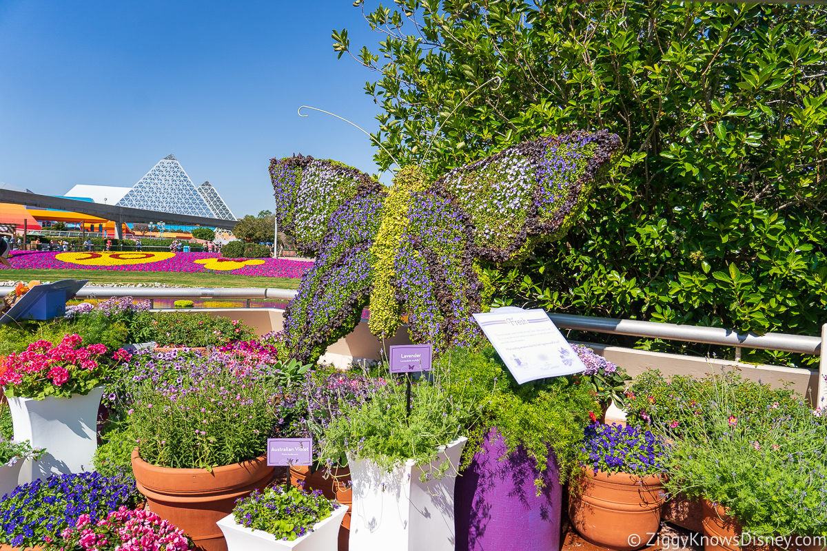 Butterfly Topiary near Scent Station 2022 EPCOT Flower and Garden Festival