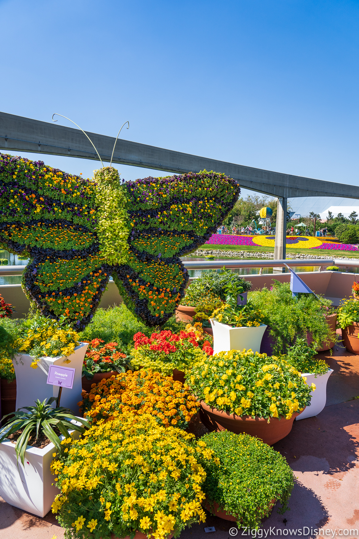 Butterfly Topiary near Scent Station