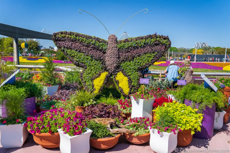 Butterfly Topiary World Showcase Bridge EPCOT