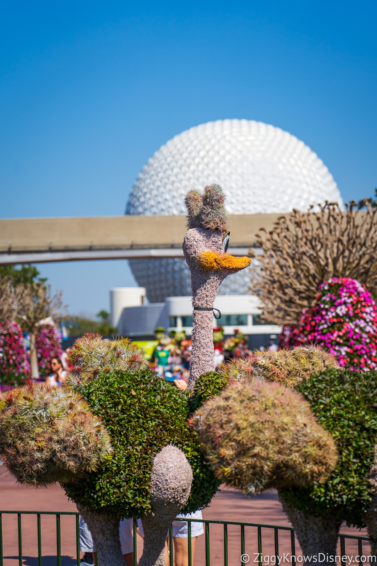Ostriches from Fantasia Topiaries 2022 EPCOT Flower and Garden Festival