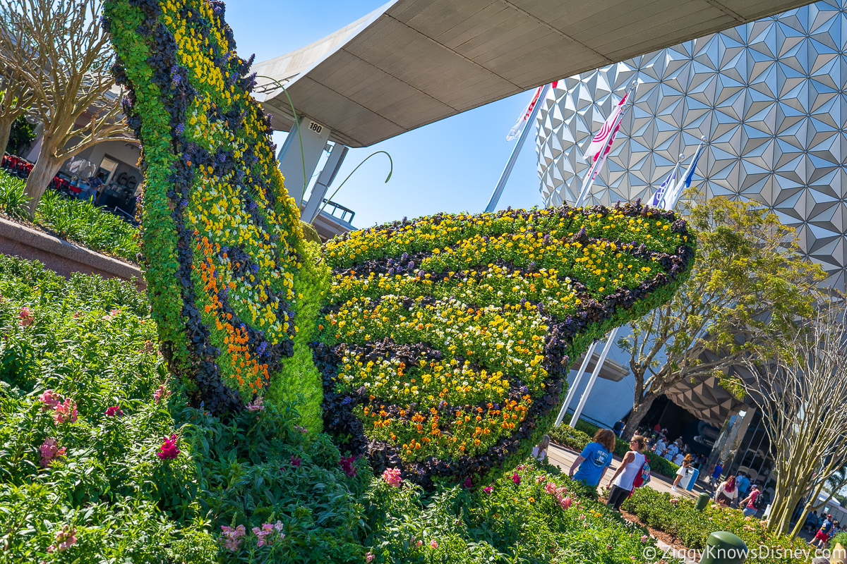 Butterfly Topiary 2022 EPCOT Flower and Garden Festival