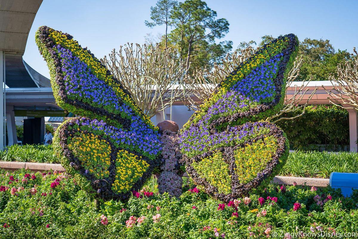 Butterfly Topiary 2022 EPCOT Flower and Garden Festival