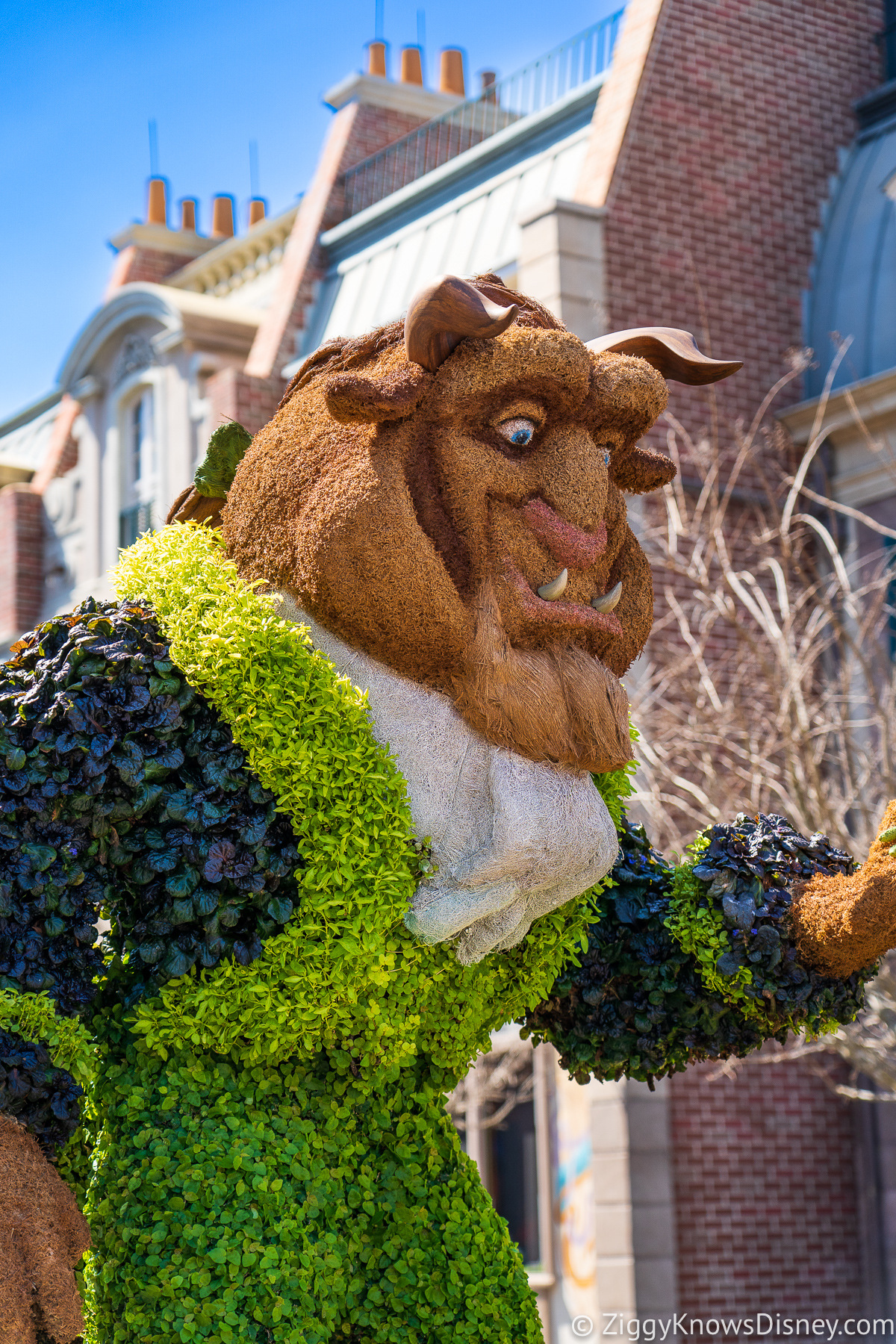 The Beast Topiary 2022 EPCOT Flower and Garden Festival