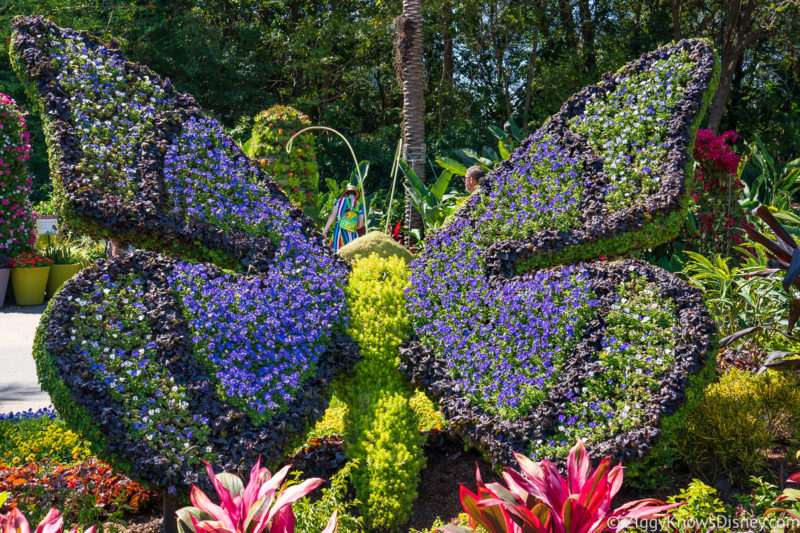 Butterfly Topiary Brazil marketplace 2022 EPCOT Flower and Garden Festival