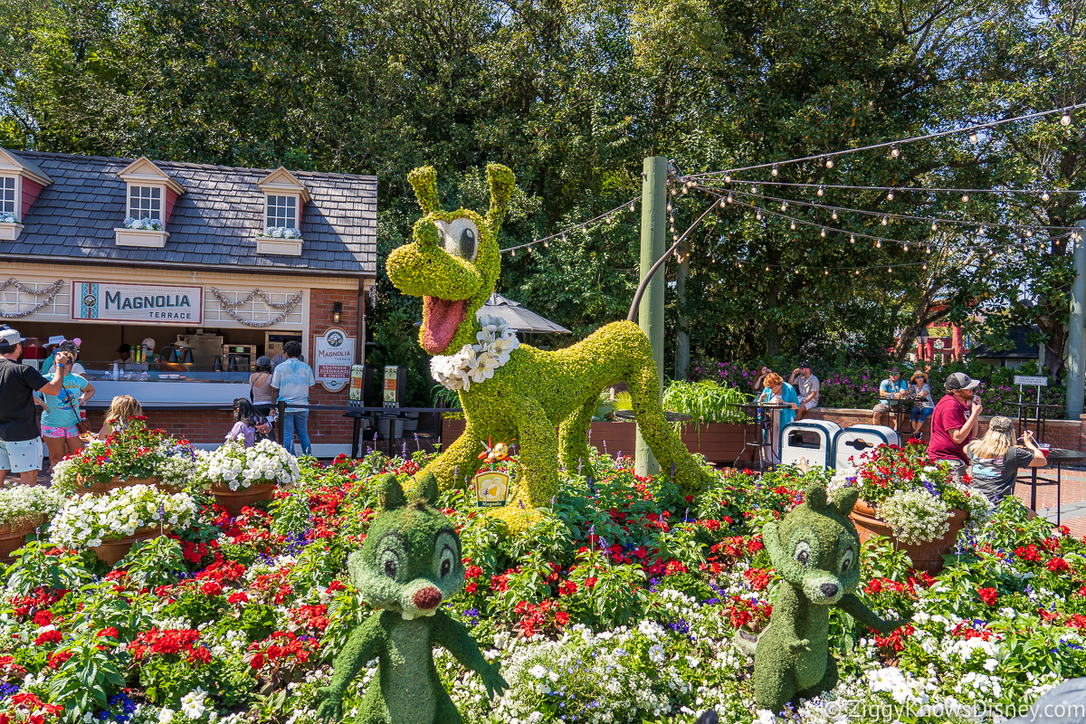 Pluto, Chip and Dale Topiaries 2022 EPCOT Flower and Garden Festival
