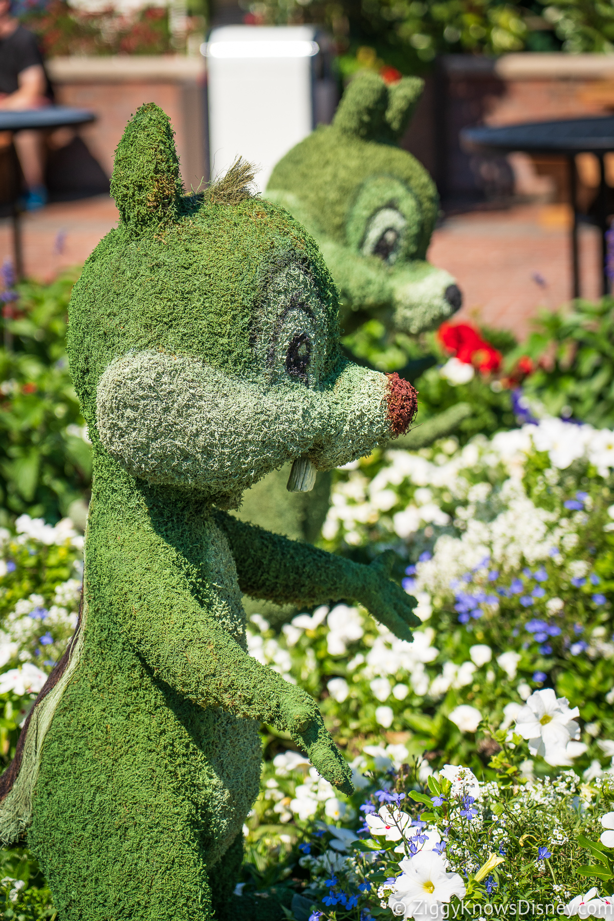 Dale and Chip Topiaries 2022 EPCOT Flower and Garden Festival
