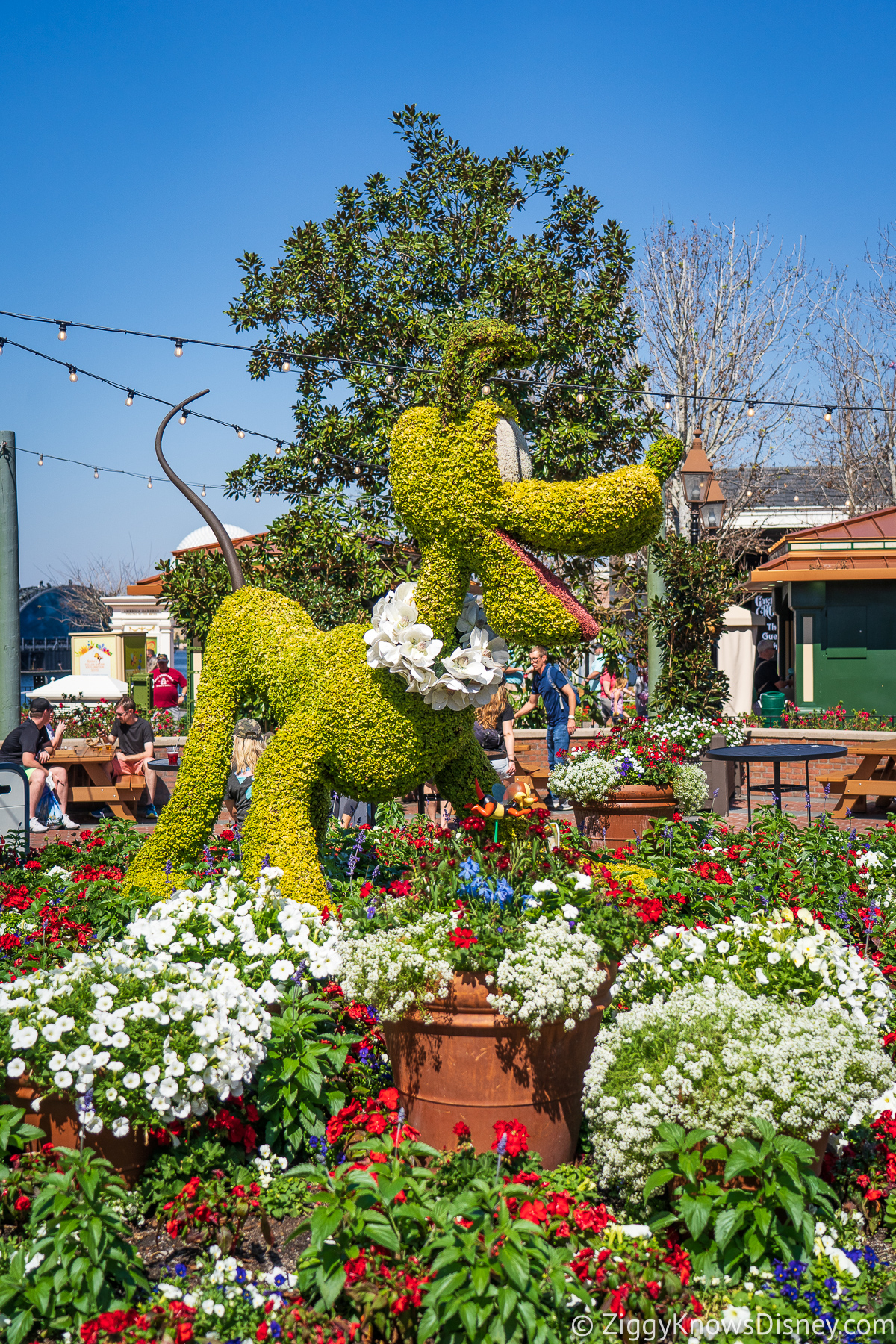 Pluto Topiary 2022 EPCOT Flower and Garden Festival