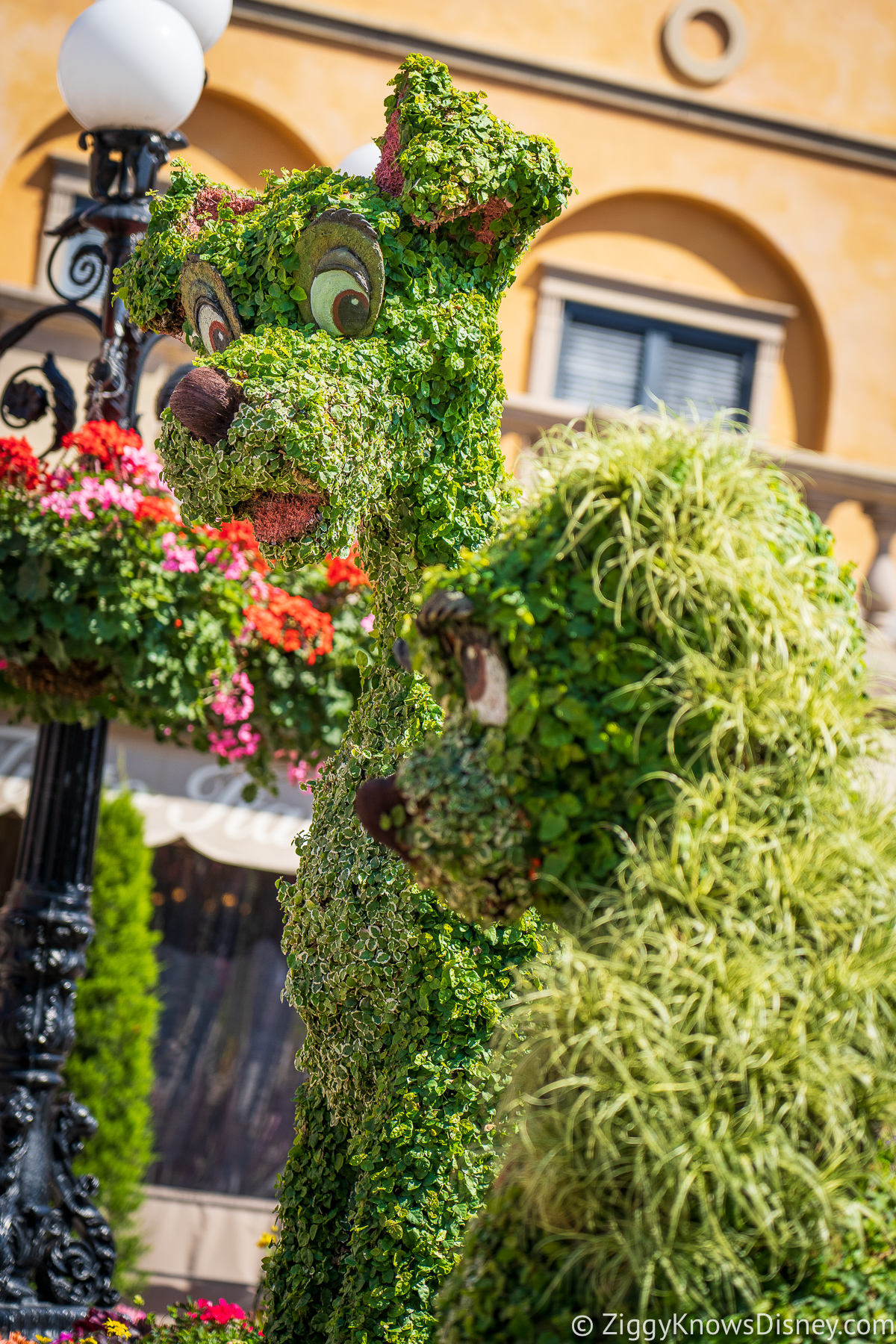 Lady and The Tramp Topiaries 2022 EPCOT Flower and Garden Festival
