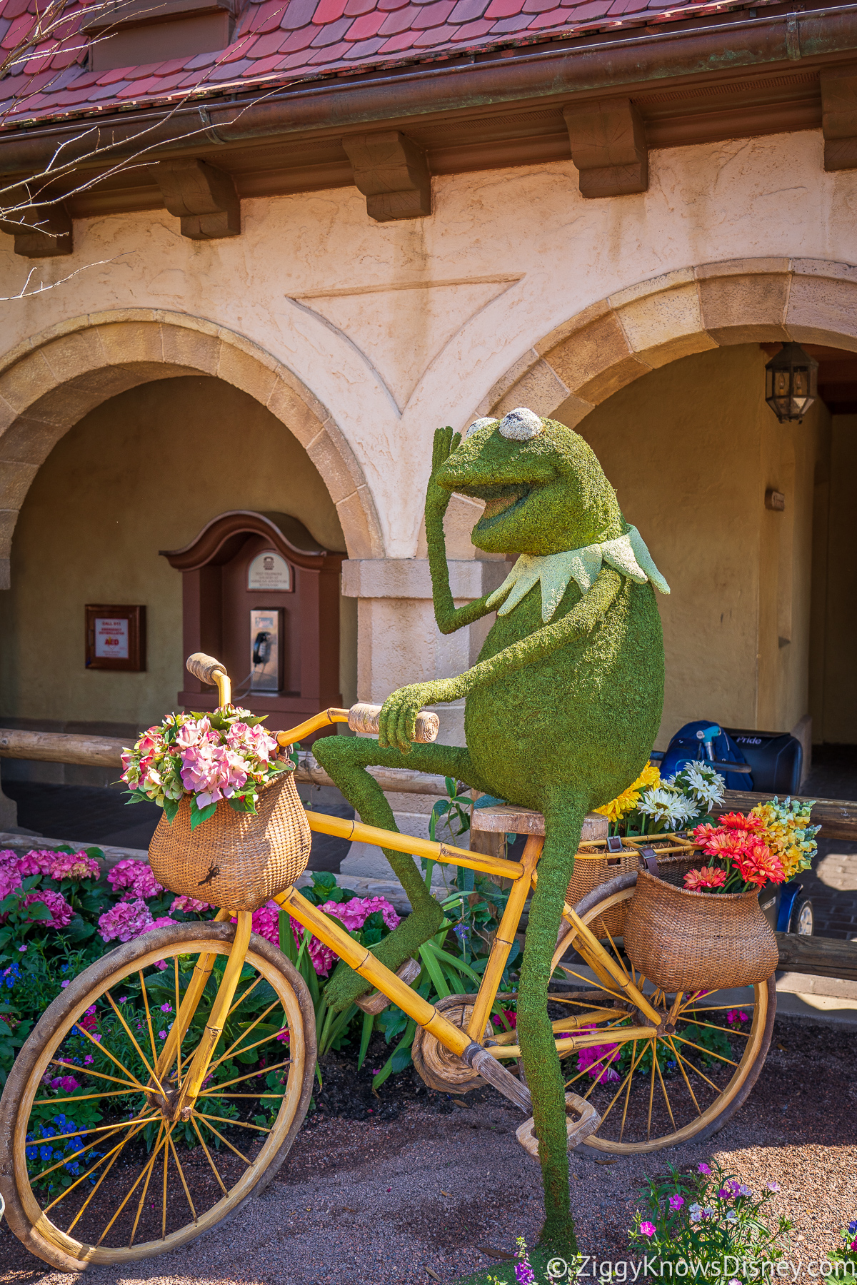 Kermit the Frog Topiary 2022 EPCOT Flower and Garden Festival