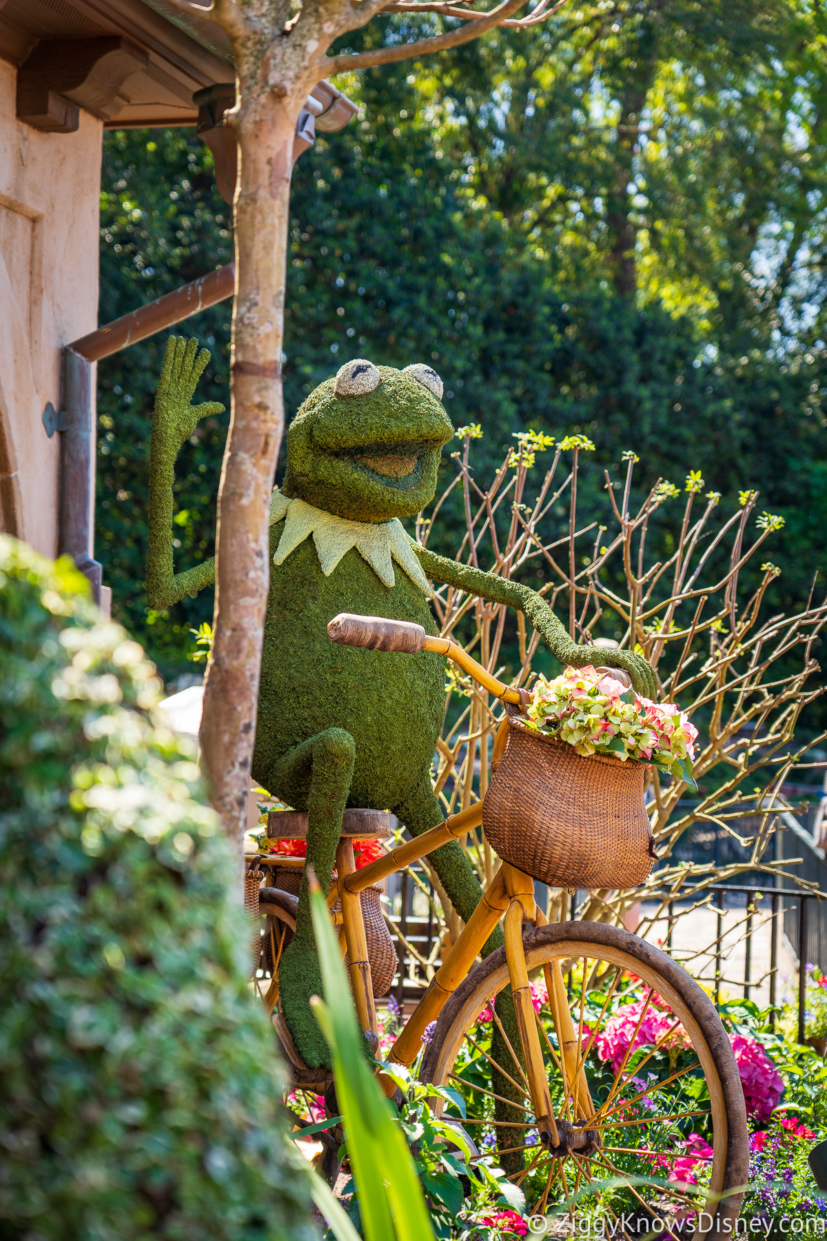 Kermit the Frog Topiary 2022 EPCOT Flower and Garden Festival