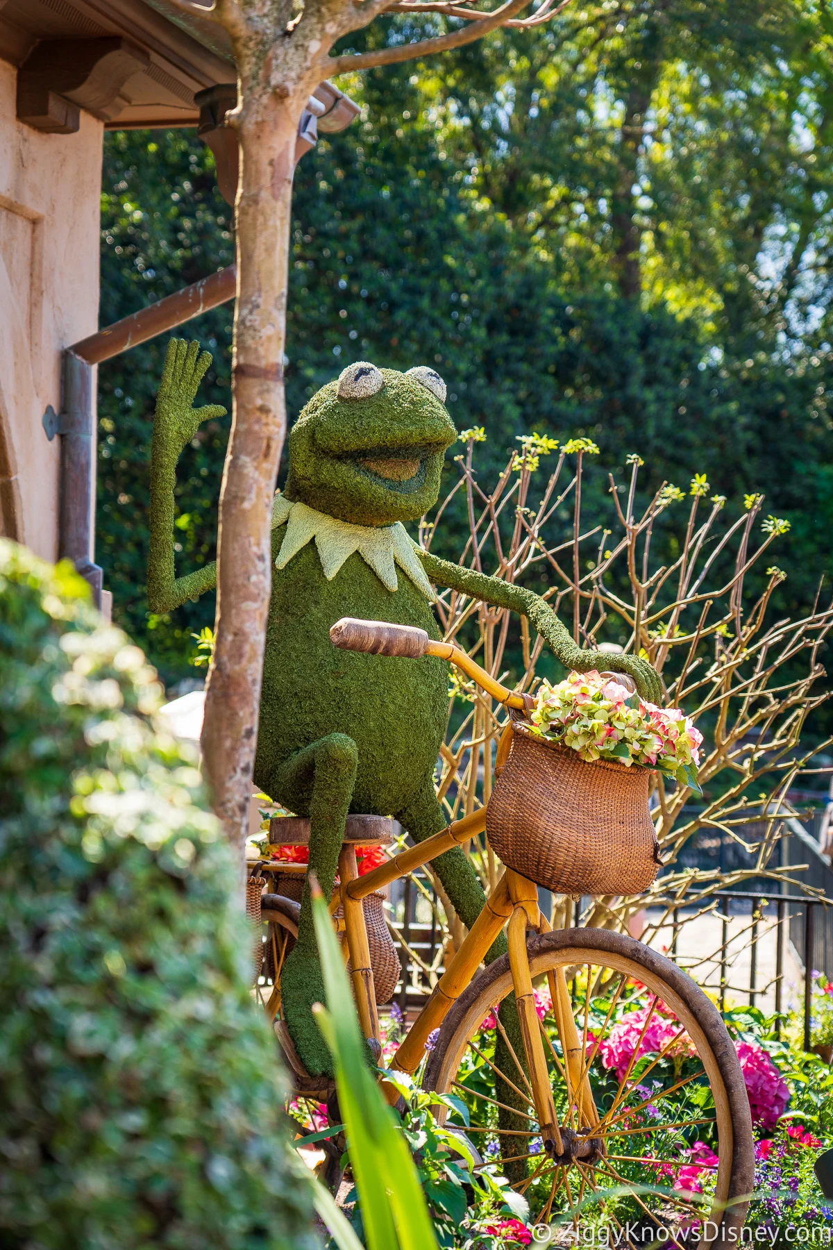Kermit the Frog Topiary 2022 EPCOT Flower and Garden Festival