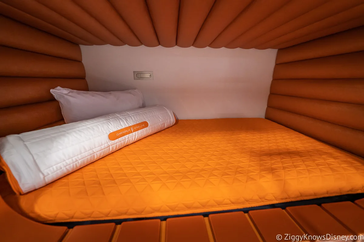 Inside Top Bunk Bed