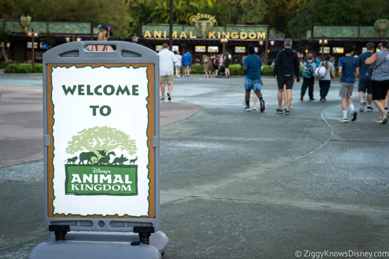 Park Hopping to Animal Kingdom with Individual Lightning Lane