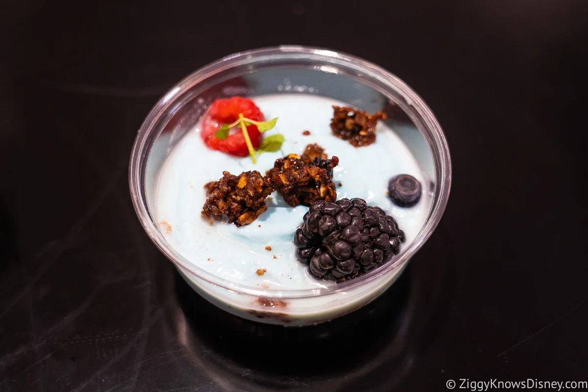 Yogurt with granola and fruit Sublight Lounge