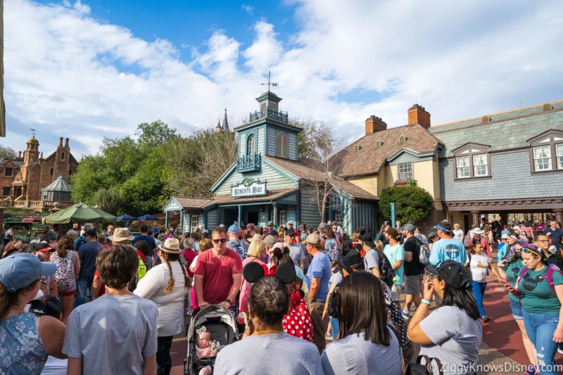 Disney Genie Plus with crowds