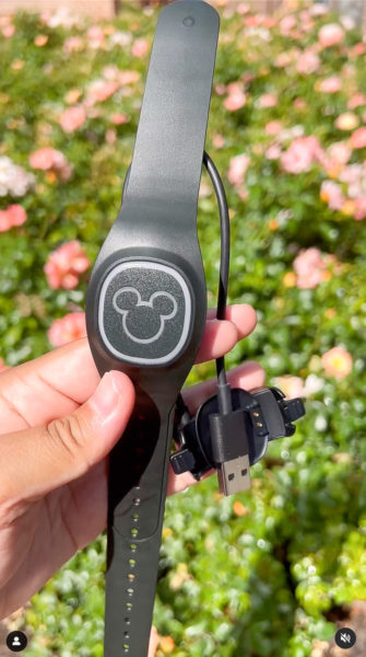 Do I Need a MagicBand for Disney? 2024-2025 - Wish Upon a Planner®