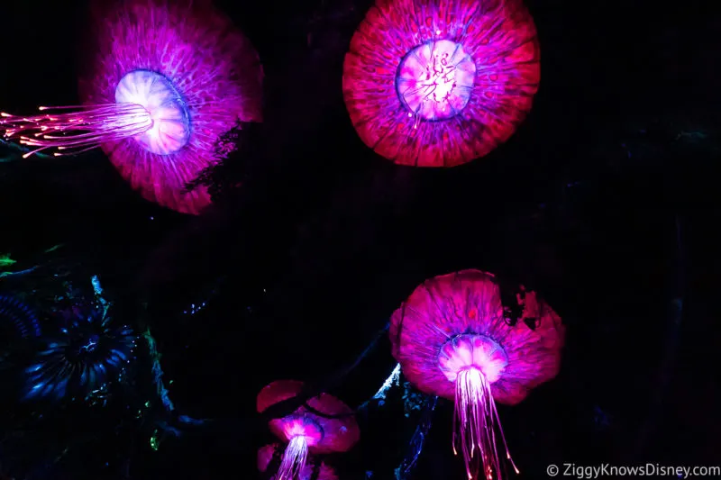 Na'vi River Journey floating jellyfish