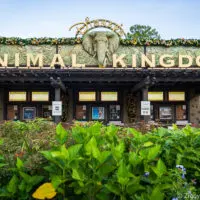 Animal Kingdom Genie+ entrance