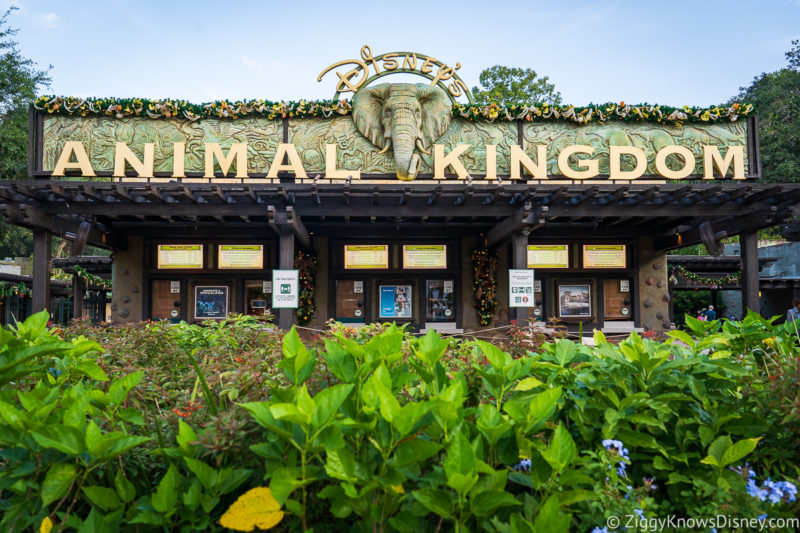 What's New in Animal Kingdom: Construction, Aliens, Yetis, and More!