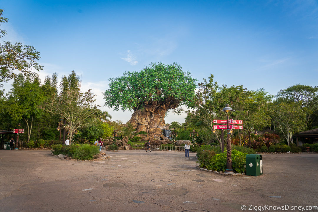 Animal Kingdom Genie+ & Lightning Lanes Rides Guide & Strategy