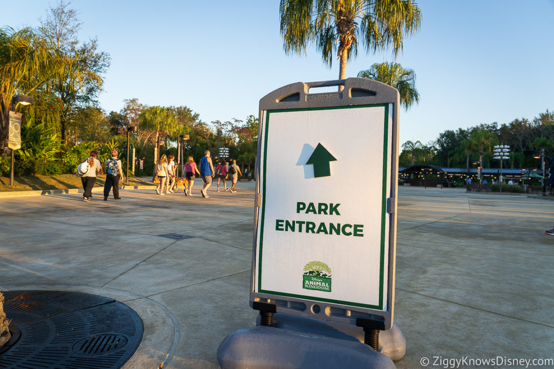 Animal Kingdom Genie+ & Lightning Lanes Rides Guide & Strategy