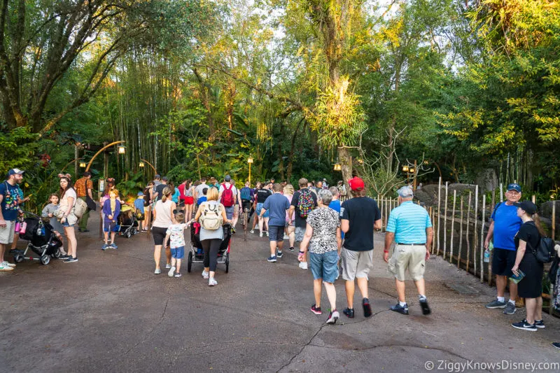 Animal Kingdom Genie+ Crowds