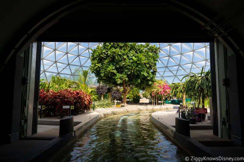 Entering the greenhouse Living with the Land EPCOT Genie+