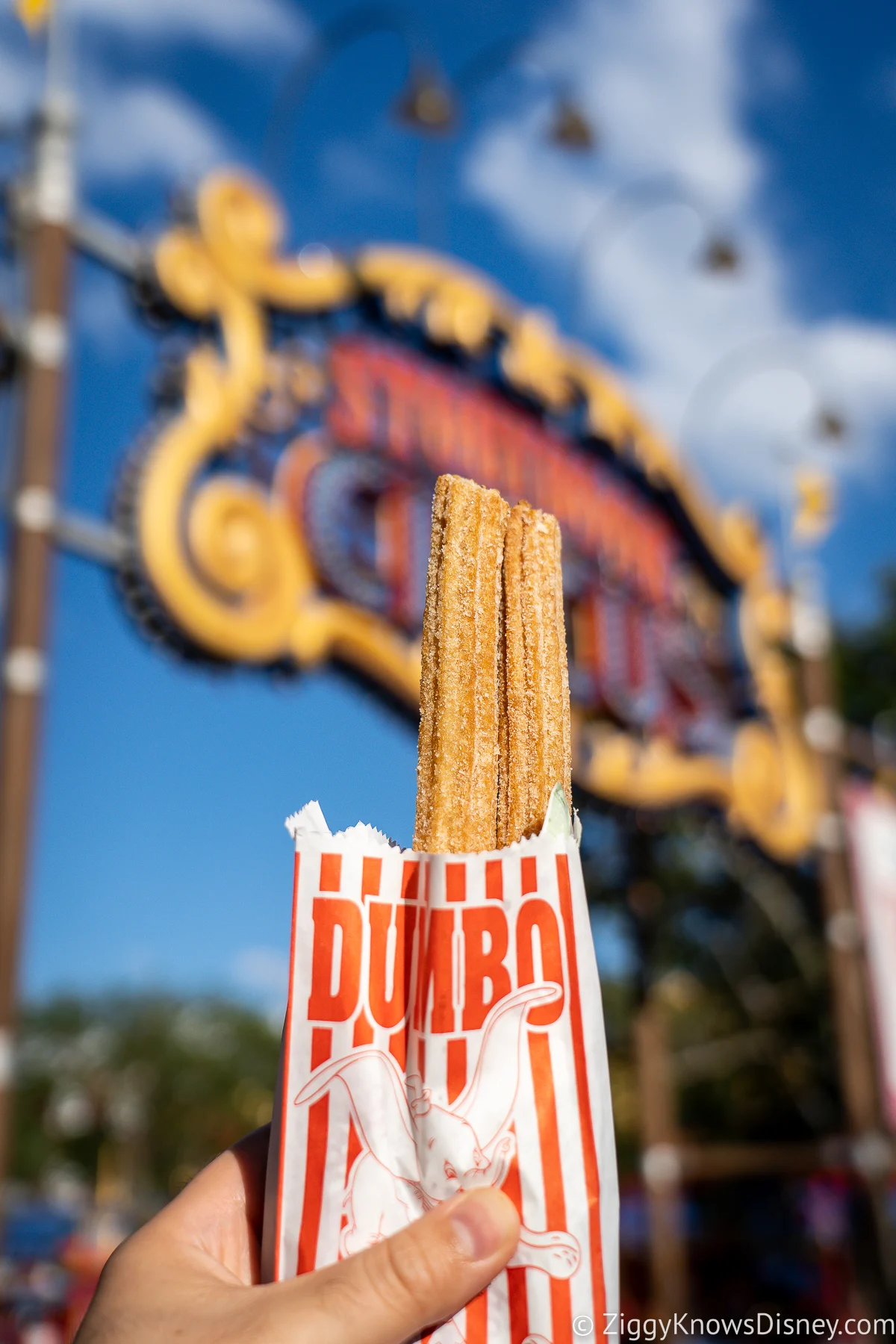 Churros Magic Kingdom Snacks