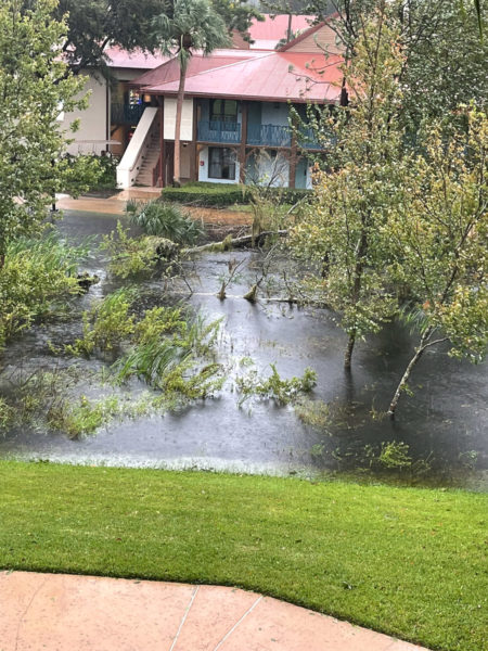 Trees down at Disney's Coronado Springs Resort