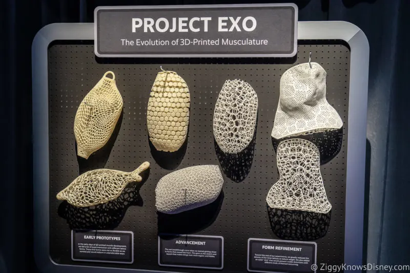 Project EXO D23 Expo
